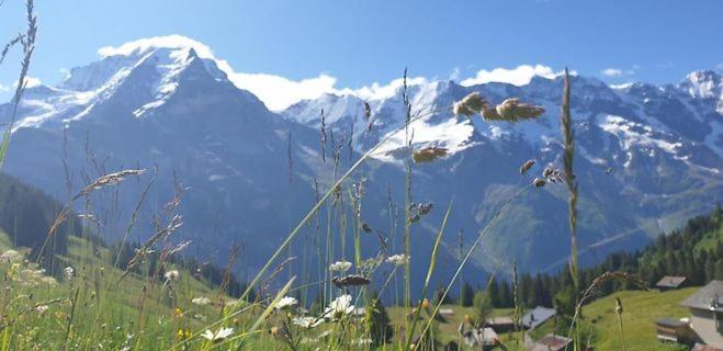 Sonnenberg Dormitories Murren Exterior photo